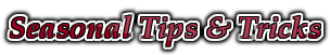 Seasonal Tips & Tricks